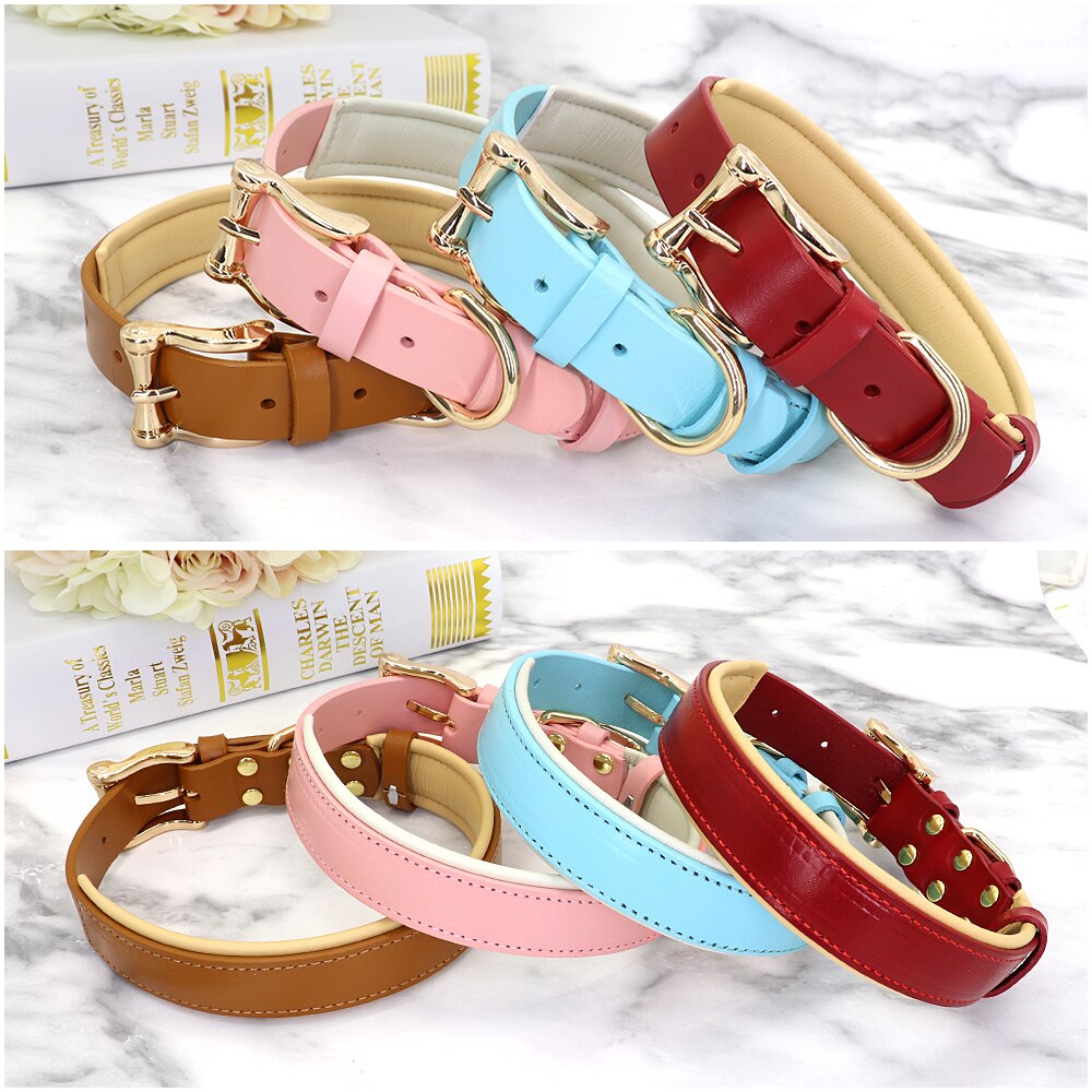 Dog Collar Leather Collares Para Perro Big Dog Collars Solid Adjustable Padded Pet Puppy Collar for Small Medium Large Dog Blue